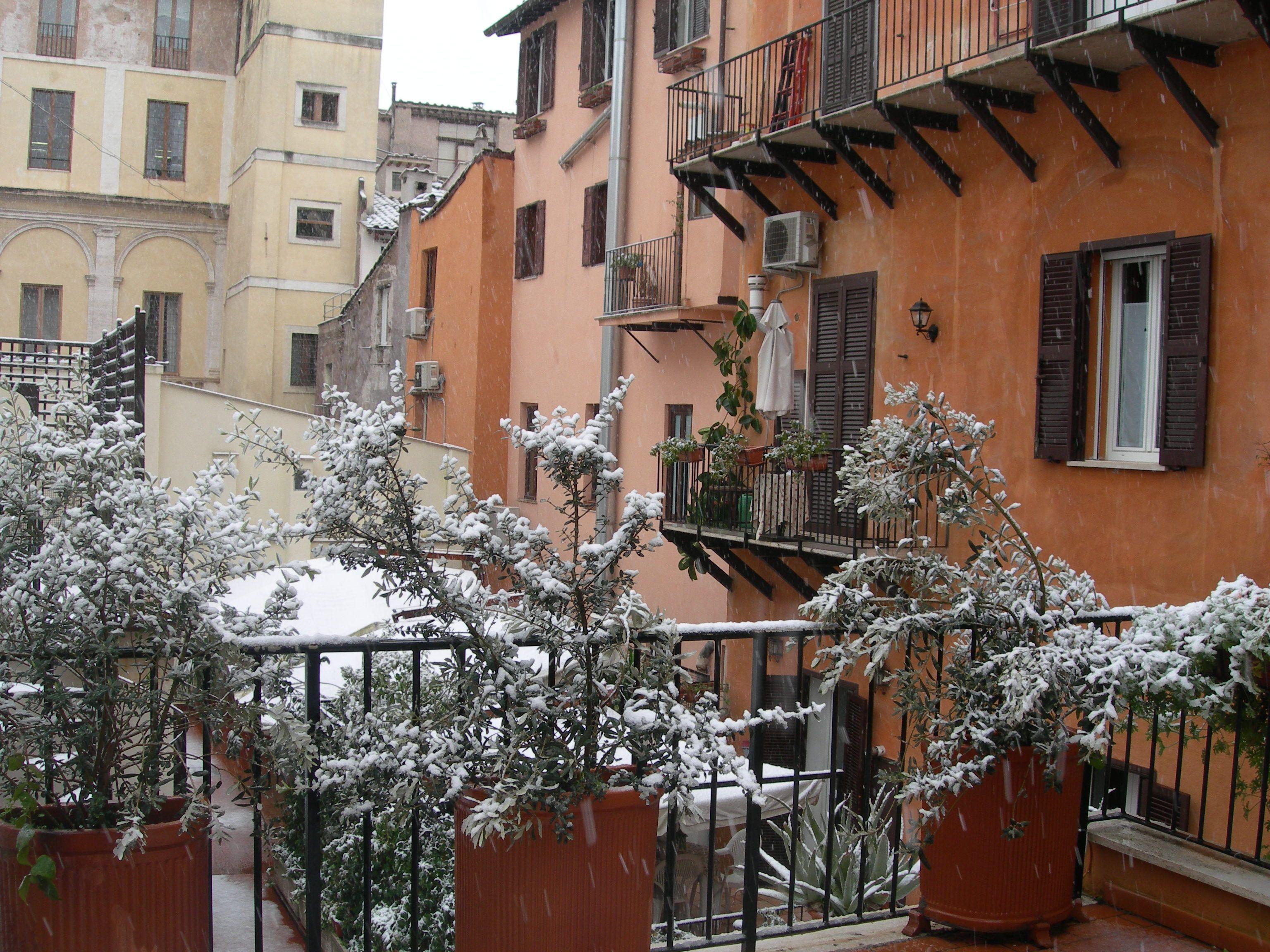 Pettinary Village B&B — Foto 3
